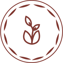 Willa Slavita - icon8